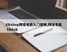 tikshop跨境电商入门视频,跨境电商 tiktok