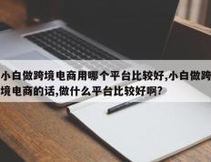 小白做跨境电商用哪个平台比较好,小白做跨境电商的话,做什么平台比较好啊?