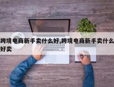 跨境电商新手卖什么好,跨境电商新手卖什么好卖