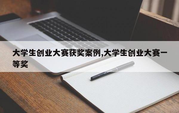 大学生创业大赛获奖案例,大学生创业大赛一等奖