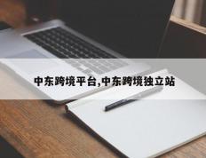 中东跨境平台,中东跨境独立站