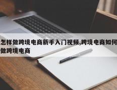 怎样做跨境电商新手入门视频,跨境电商如何做跨境电商
