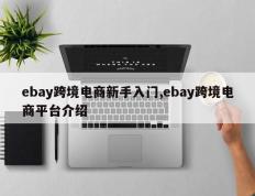 ebay跨境电商新手入门,ebay跨境电商平台介绍