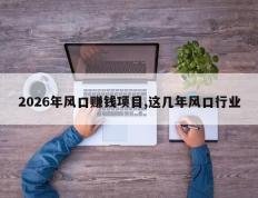 2026年风口赚钱项目,这几年风口行业