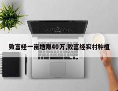 致富经一亩地赚40万,致富经农村种植