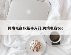 跨境电商tk新手入门,跨境电商toc
