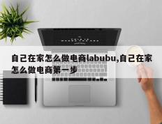 自己在家怎么做电商labubu,自己在家怎么做电商第一步
