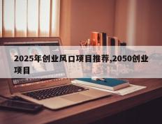 2025年创业风口项目推荐,2050创业项目