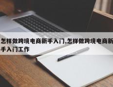 怎样做跨境电商新手入门,怎样做跨境电商新手入门工作