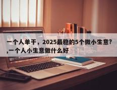 一个人单干，2025最稳的5个微小生意?,一个人小生意做什么好