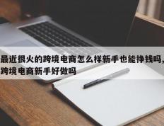 最近很火的跨境电商怎么样新手也能挣钱吗,跨境电商新手好做吗