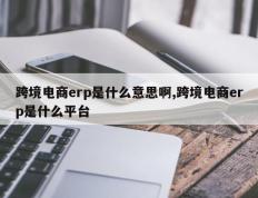 跨境电商erp是什么意思啊,跨境电商erp是什么平台