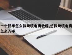 一个新手怎么做跨境电商教程,想做跨境电商怎么入手