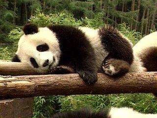 网站建设教程之如何注册域名