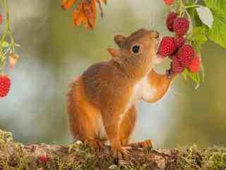 如何利用 Playwright 对已打开的浏览器进行爬虫
