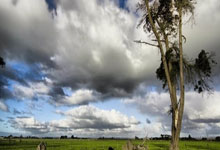 tiktokshop，tiktokshop跨境电商