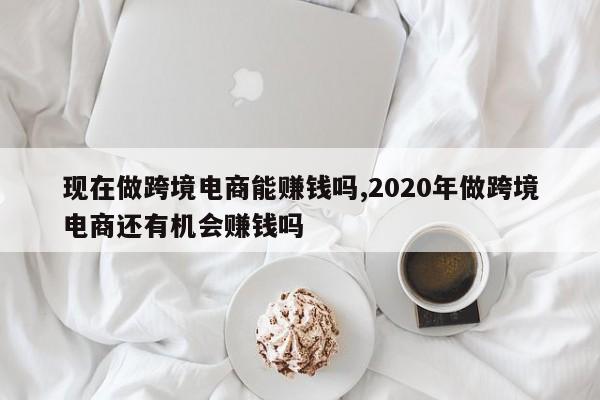 现在做跨境电商能赚钱吗,2020年做跨境电商还有机会赚钱吗