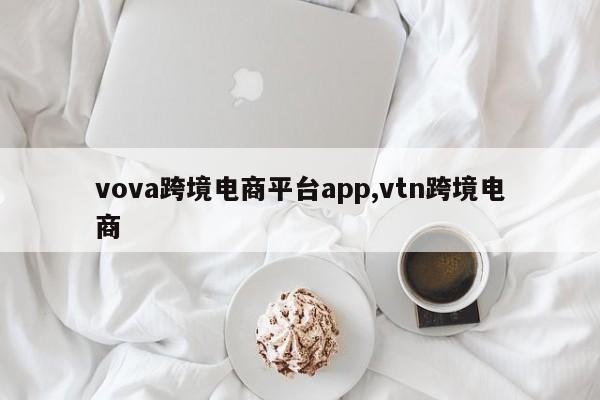 vova跨境电商平台app,vtn跨境电商