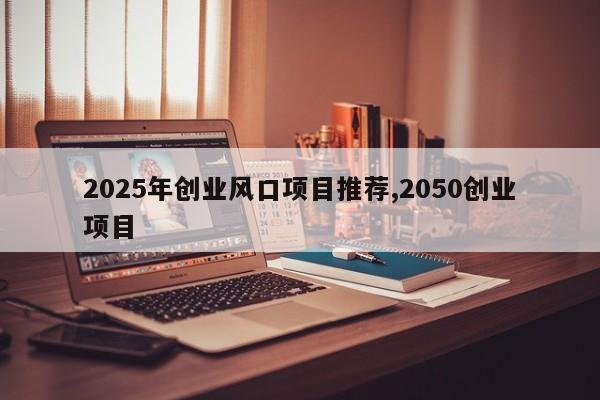2025年创业风口项目推荐,2050创业项目