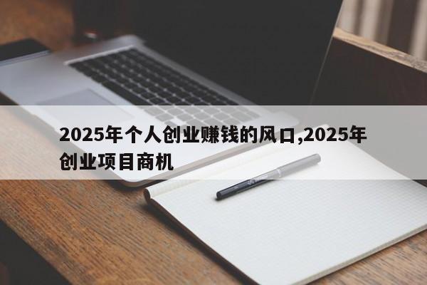 2025年个人创业赚钱的风口,2025年创业项目商机