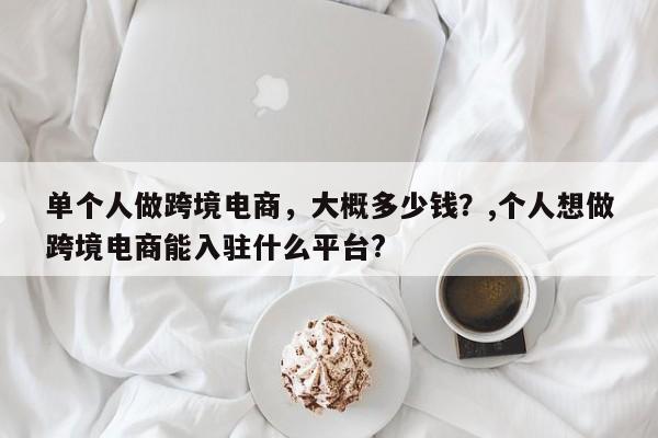 单个人做跨境电商,大概多少钱?,个人想做跨境电商能入驻什么平台?