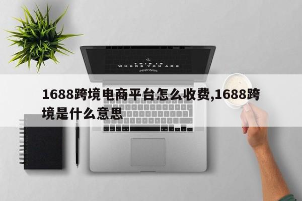 1688跨境电商平台怎么收费,1688跨境是什么意思