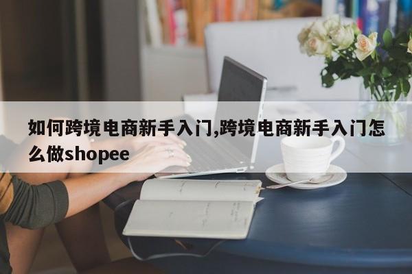 如何跨境电商新手入门,跨境电商新手入门怎么做shopee