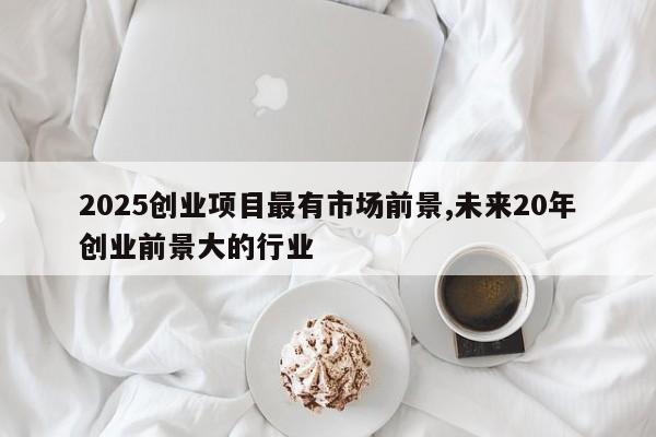 2025创业项目最有市场前景,未来20年创业前景大的行业