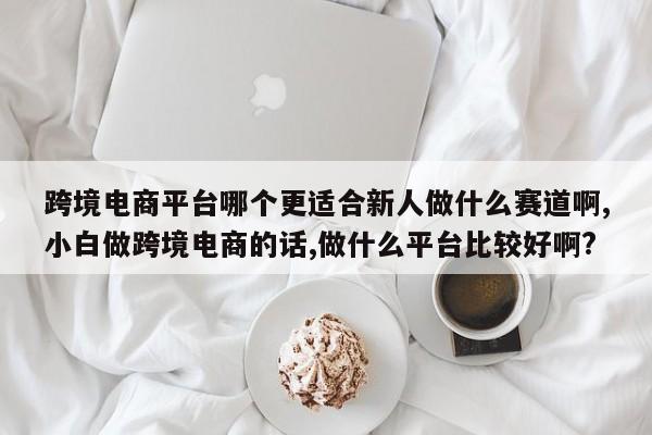 跨境电商平台哪个更适合新人做什么赛道啊,小白做跨境电商的话,做什么平台比较好啊?