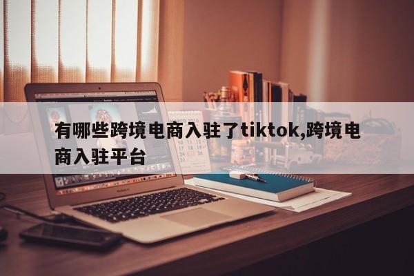 有哪些跨境电商入驻了tiktok,跨境电商入驻平台