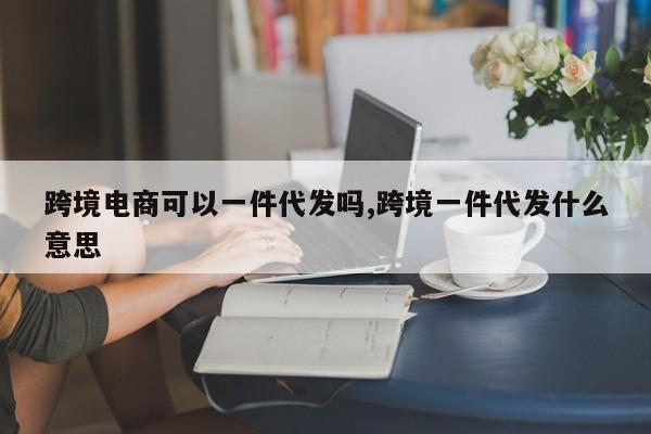 跨境电商可以一件代发吗,跨境一件代发什么意思