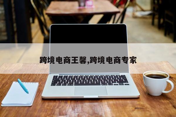跨境电商王馨,跨境电商专家