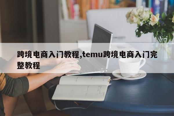 跨境电商入门教程,temu跨境电商入门完整教程
