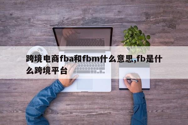 跨境电商fba和fbm什么意思,fb是什么跨境平台