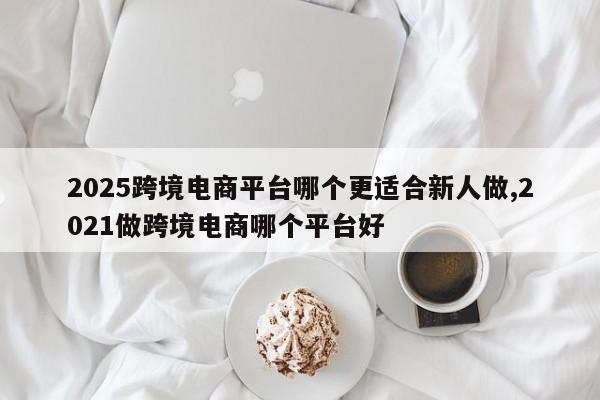 2025跨境电商平台哪个更适合新人做,2021做跨境电商哪个平台好
