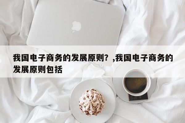 我国电子商务的发展原则？,我国电子商务的发展原则包括