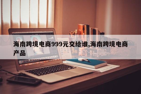 海南跨境电商999元交给谁,海南跨境电商产品