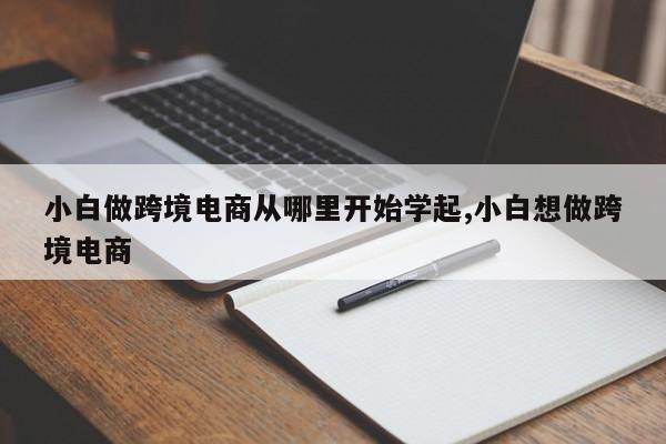 小白做跨境电商从哪里开始学起,小白想做跨境电商