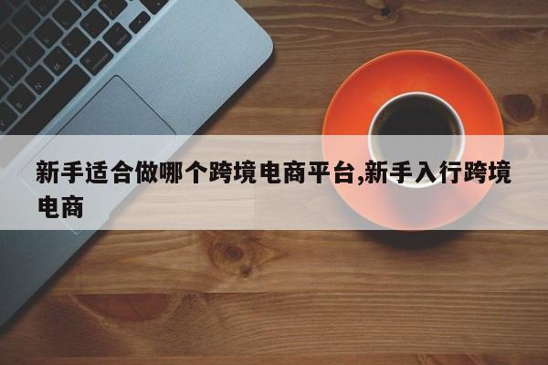 新手适合做哪个跨境电商平台,新手入行跨境电商