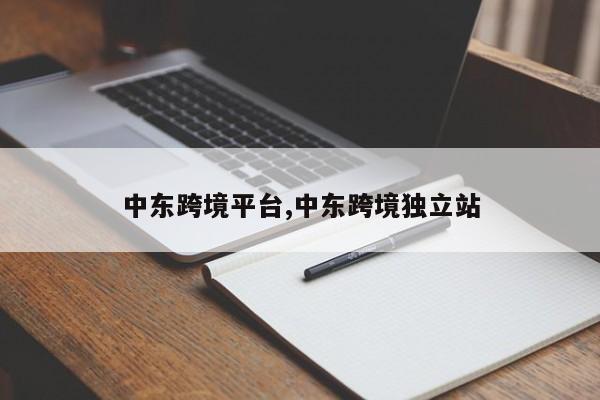 中东跨境平台,中东跨境独立站