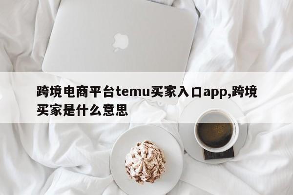 跨境电商平台temu买家入口app,跨境买家是什么意思
