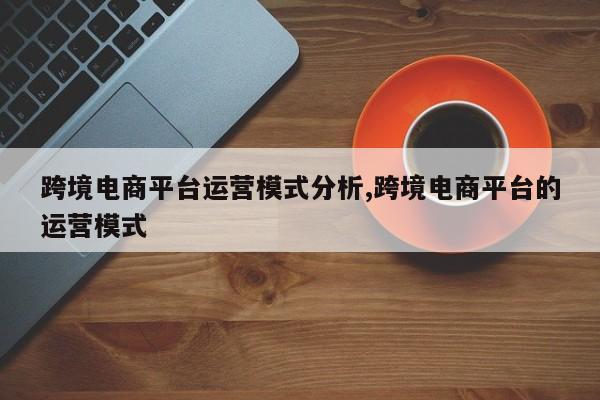 跨境电商平台运营模式分析,跨境电商平台的运营模式