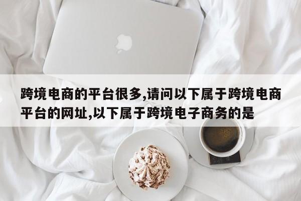 跨境电商的平台很多,请问以下属于跨境电商平台的网址,以下属于跨境电子商务的是